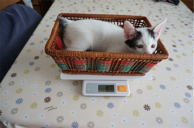 900g