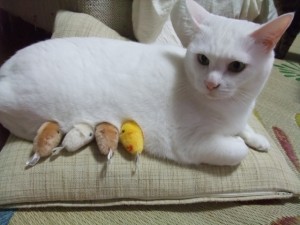 NANA授乳中