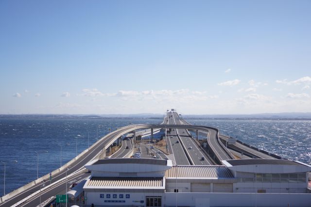 海ホタル